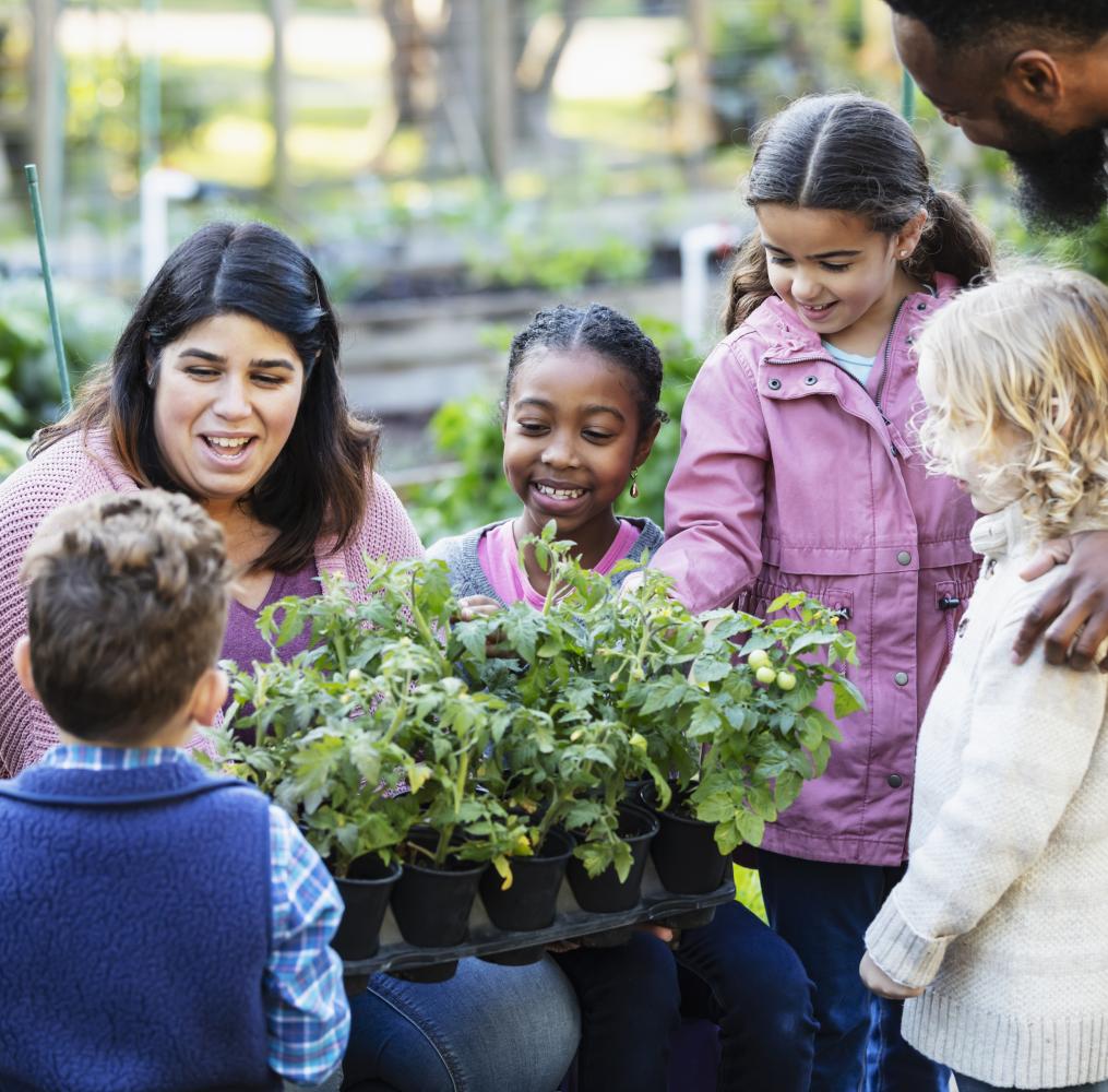Teacher showing plants to students in an outdoor nursery.