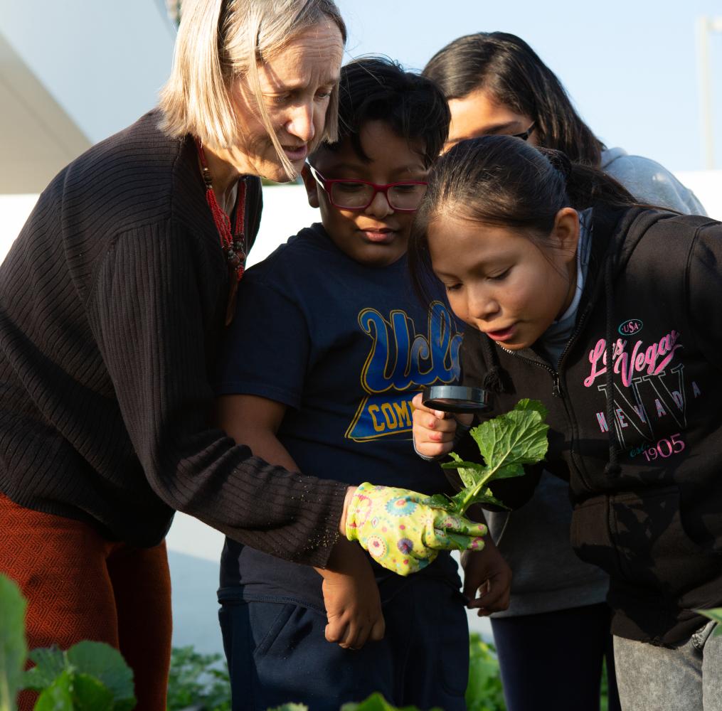 A teacher and students looking at a plant outdoors.