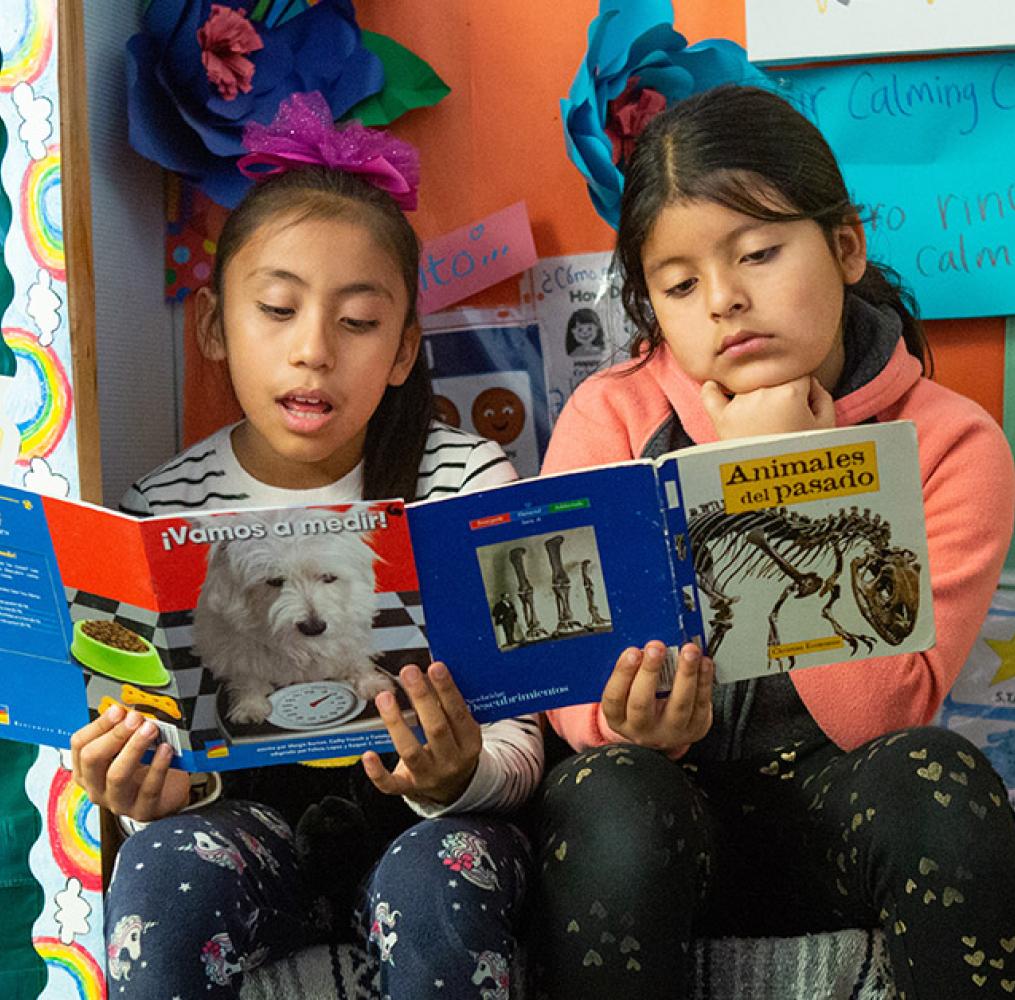 Two elementary students reading a book together.