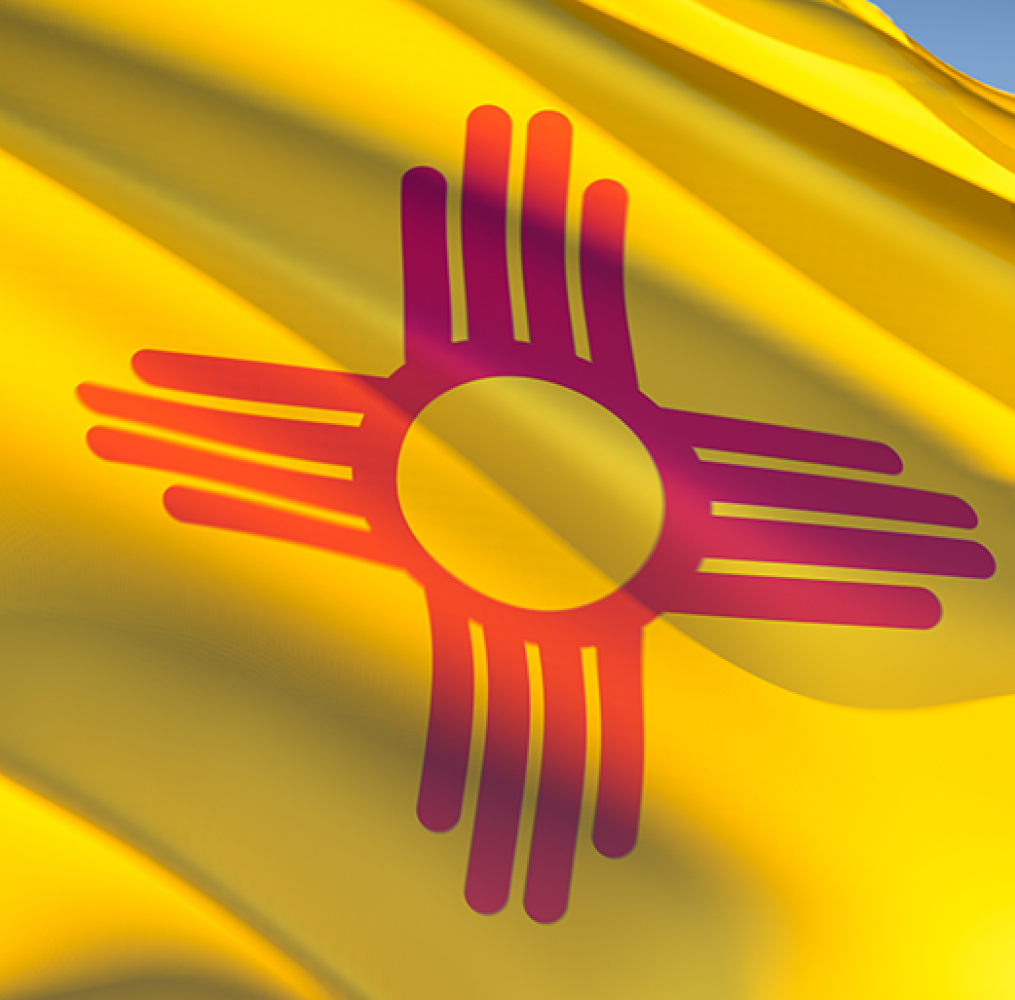Close up photo of the New Mexico state flag.