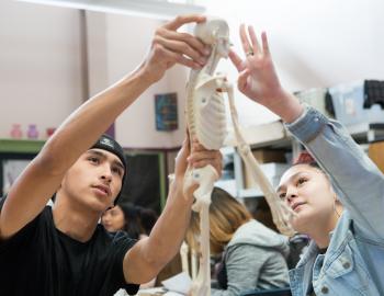 Two high school students working with a model skeleton.